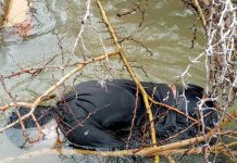 Adolescente muere ahogado en Píritu