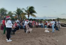 Hacia la propagación del rosario de la aurora Guadalupano