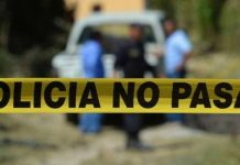 Joven madre es localizada muerta una zona boscosa