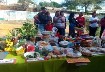 Parrandón Navideño 2023 y Convite Hallaquero enalteciendo educación en Los Taques