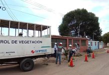 Atendidos 450 casos con 1×10 del Buen Gobierno y Plan «Pica y Poda»