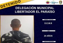 Arrestado tras golpear a su madre