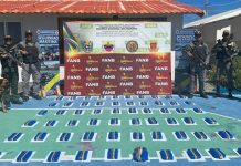 Hallan 35 kilos de marihuana en Los Roques