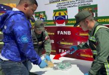 Incautan 36 panelas de marihuana