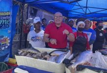 Sector pesca y acuicultura creció un 13 % en 2023