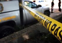 Asesinó a su exempleada tras disputa por terrenos