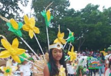 Carnavales pedagógicos integró 101 escuelas en el municipio Falcón