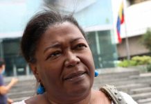 Profesora Elsa Castillo lanza su candidatura presidencial