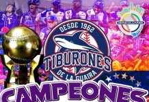 Tiburones de La Guaira es el campeón