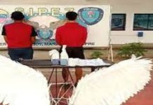 Detenidos por «ultrajar el pudor» en sesión de fotos