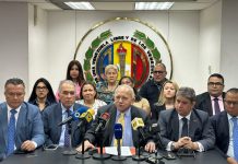 AD propone fecha para las presidenciales presidenciales