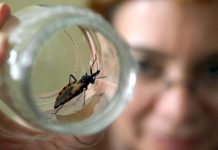 Advierten peligro de muerte súbita por enfermedad de Chagas