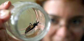 Advierten peligro de muerte súbita por enfermedad de Chagas