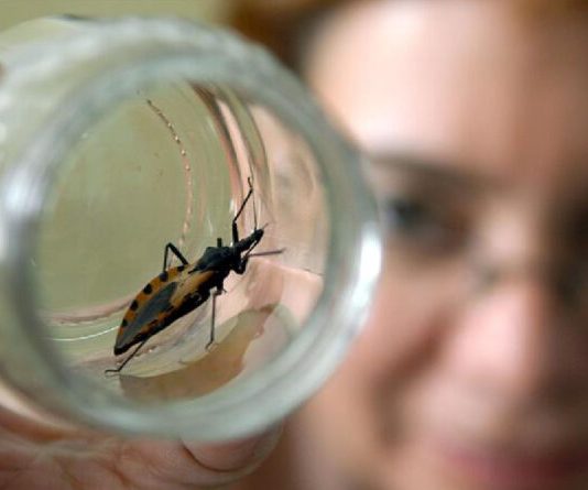 Advierten peligro de muerte súbita por enfermedad de Chagas