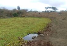 De esta manera sobreviven en San José de Cocodite ante la falta de agua