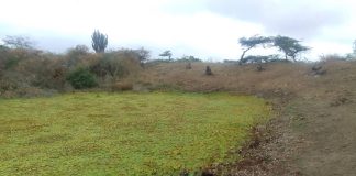 De esta manera sobreviven en San José de Cocodite ante la falta de agua