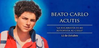 El Papa hará santo a Carlo Acutis