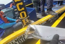 Confirman el hallazgo de los restos de la aeronave siniestrada