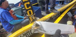 Confirman el hallazgo de los restos de la aeronave siniestrada