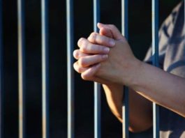 Acusaron de terrorismo a mujer tras abandonar a su hija Acusaron de terrorismo a mujer tras abandonar a su hija / Asistente del Seguro Social estafó con cupos de jubilación / Mató a su madre y lanzó a su perro desde un balcón