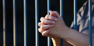 Detenida adolescente por causar lesiones a una niña en Chichiriviche Asistente del Seguro Social estafó con cupos de jubilación / Mató a su madre y lanzó a su perro desde un balcón