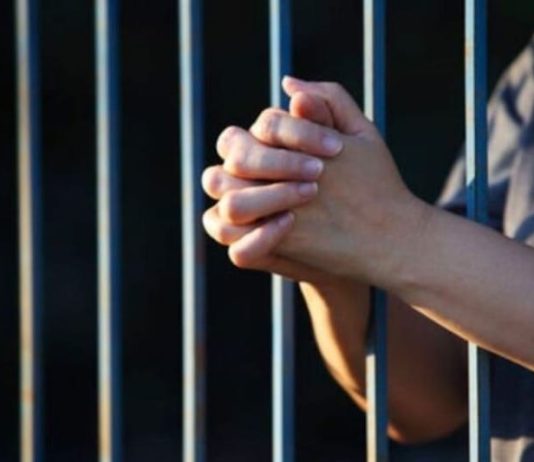 Acusaron de terrorismo a mujer tras abandonar a su hija Acusaron de terrorismo a mujer tras abandonar a su hija / Asistente del Seguro Social estafó con cupos de jubilación / Mató a su madre y lanzó a su perro desde un balcón