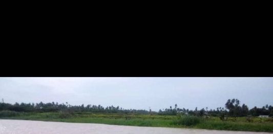 Embarcación Pelícanos presentó retrasos por fallas en el motor