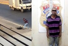 Imputan a hombre por maltrato animal