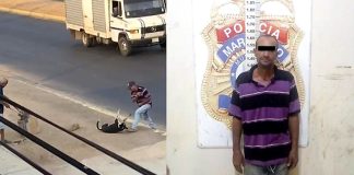 Imputan a hombre por maltrato animal