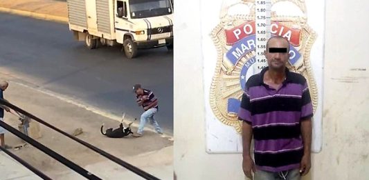 Imputan a hombre por maltrato animal