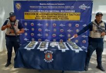 Incautan 16 panelas de marihuana en El Supí