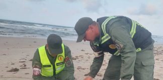 Localizan 325 panelas de cocaína en Boca de Aroa