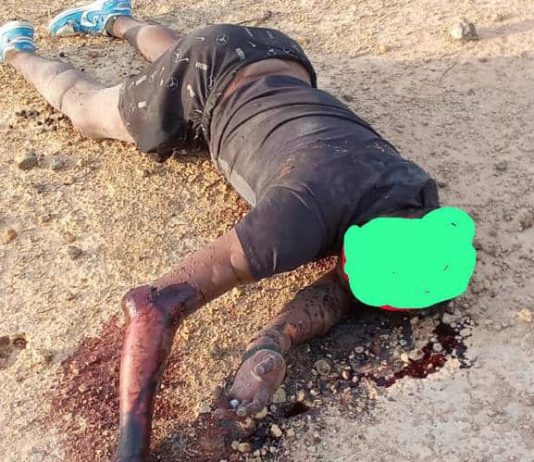 Localizan a hombre sin vida en zona enmontada del municipio Carirubana
