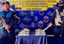 Localizan cinco panelas de marihuana en Chichiriviche