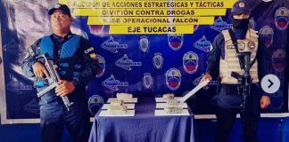 Localizan cinco panelas de marihuana en Chichiriviche