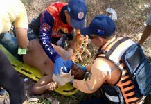 Se cayó de un cují de cinco metros de altura