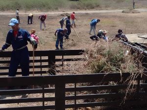 Bloque Histórico del Municipio Falcón 