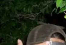 Chef murió por causas naturales