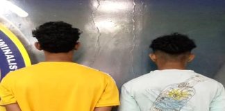 Detienen dos microtraficantes en Punto Fijo