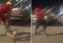 Detenidos| Esto le hicieron a un perro