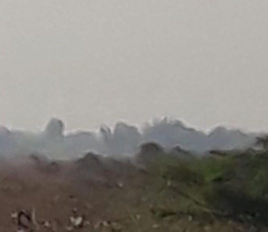 Incendio en La Bocaina afectó 69,56 hectáreas