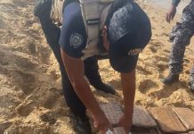 Localizan 23 kilos de droga en playa La Bocaina