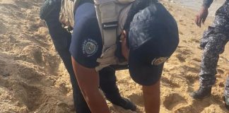 Localizan 23 kilos de droga en playa La Bocaina