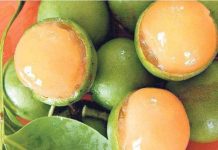 Niña de cuatro años casi se ahoga con una pepa de mamón