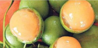 Niña de cuatro años casi se ahoga con una pepa de mamón