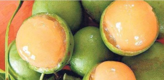 Niña de cuatro años casi se ahoga con una pepa de mamón