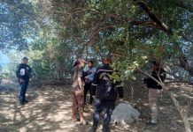 Cinco ahorcados en menos de diez días en Falcón