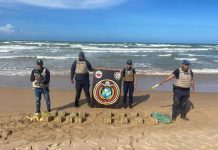 Localizan 80 panelas de marihuana en La Bocaina