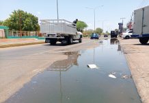 Así corren las aguas negras en la avenida Rafael González de Punto Fijo