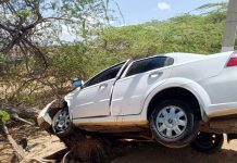 Conductor chocó con un cují en Puerta Maraven